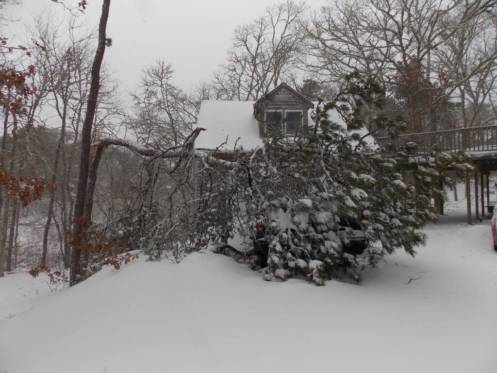 No description provided for: /2013/01-03/0209-truck+tree/photo03.html