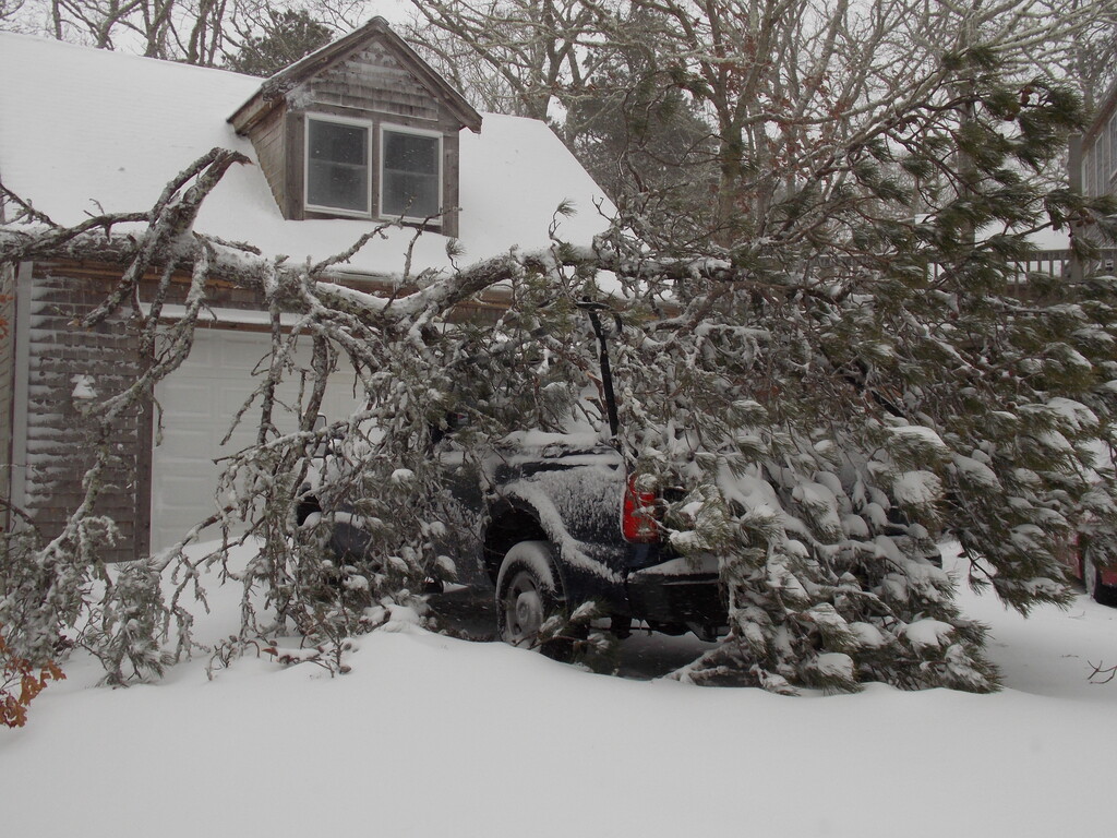 No description provided for: /2013/01-03/0209-truck+tree/photo04.html