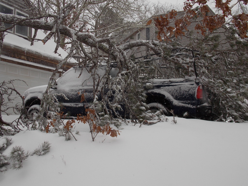 No description provided for: /2013/01-03/0209-truck+tree/photo05.html