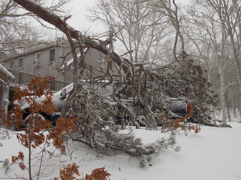 No description provided for: /2013/01-03/0209-truck+tree/photo06.html