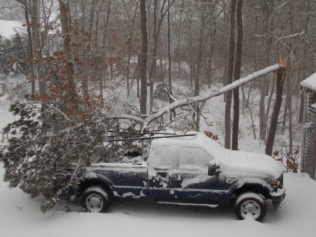 No description provided for: /2013/01-03/0209-truck+tree/photo07.html