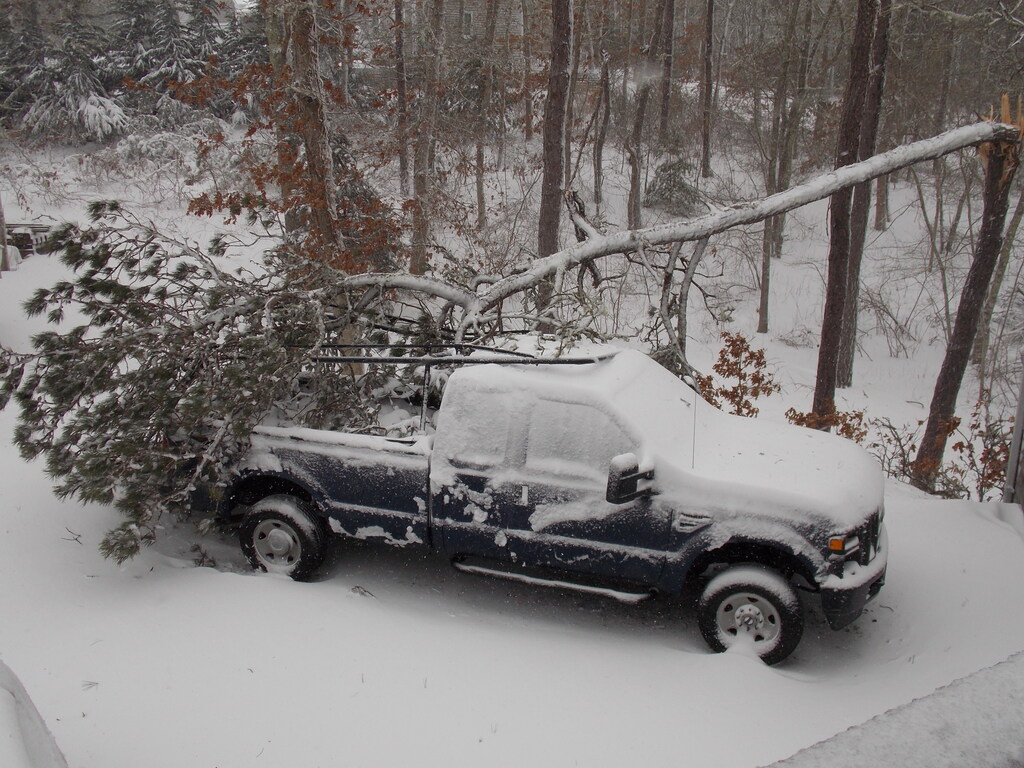 No description provided for: /2013/01-03/0209-truck+tree/photo08.html