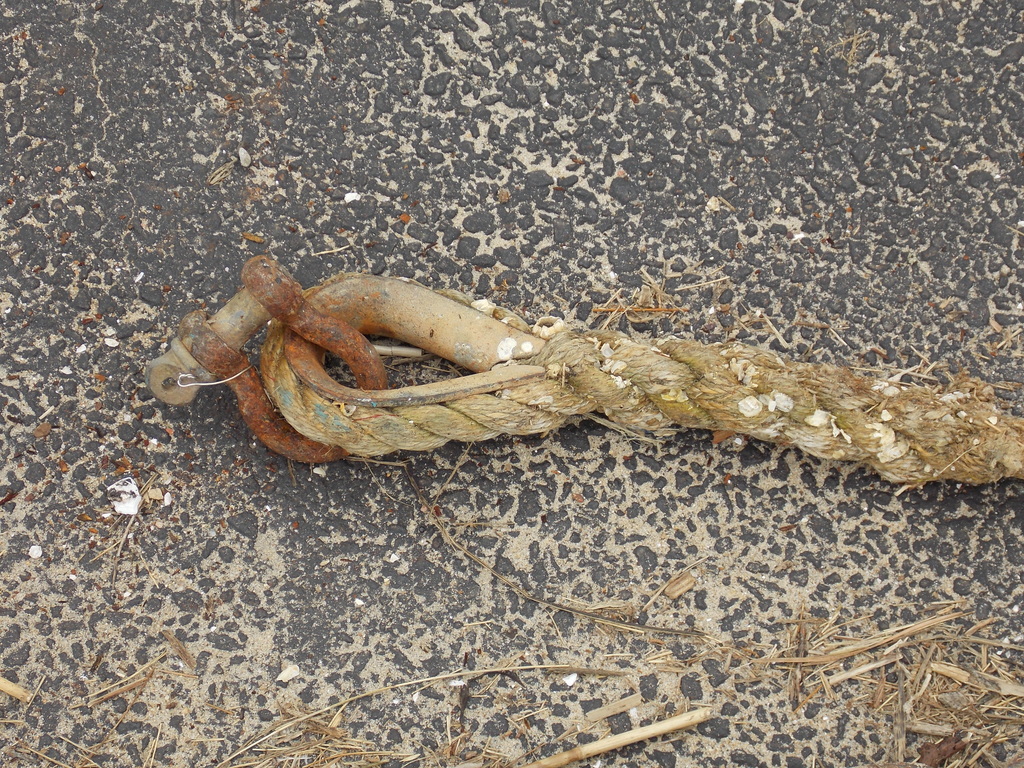 No description provided for: /2013/01-03/0301-moorings/_1/photo11.html