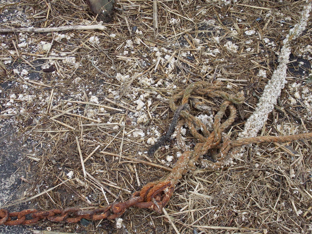 No description provided for: /2013/01-03/0301-moorings/_1/photo19.html