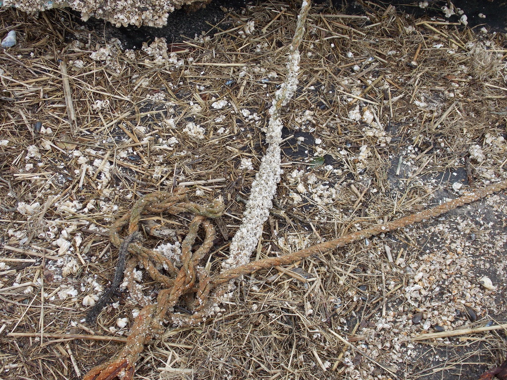 No description provided for: /2013/01-03/0301-moorings/_1/photo20.html