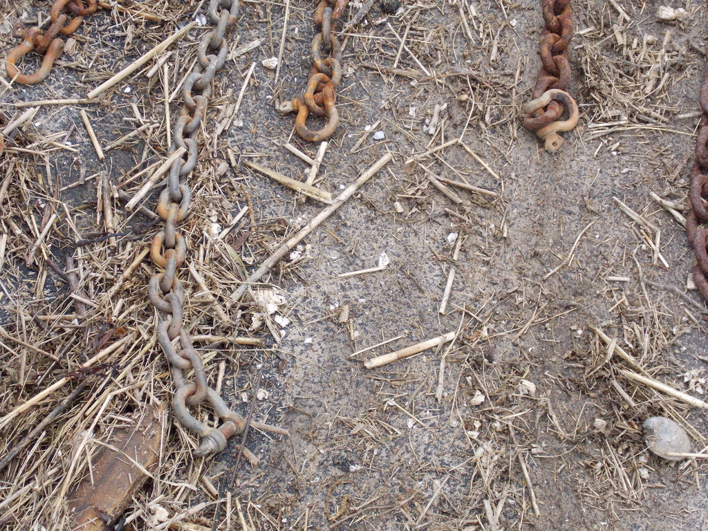 No description provided for: /2013/01-03/0301-moorings/_2/photo28.html