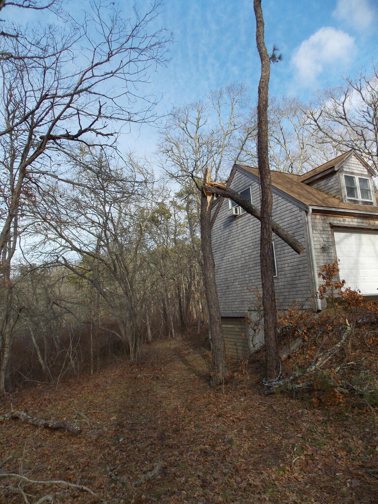 No description provided for: /2013/01-03/0302-tree-damage/photo03.html