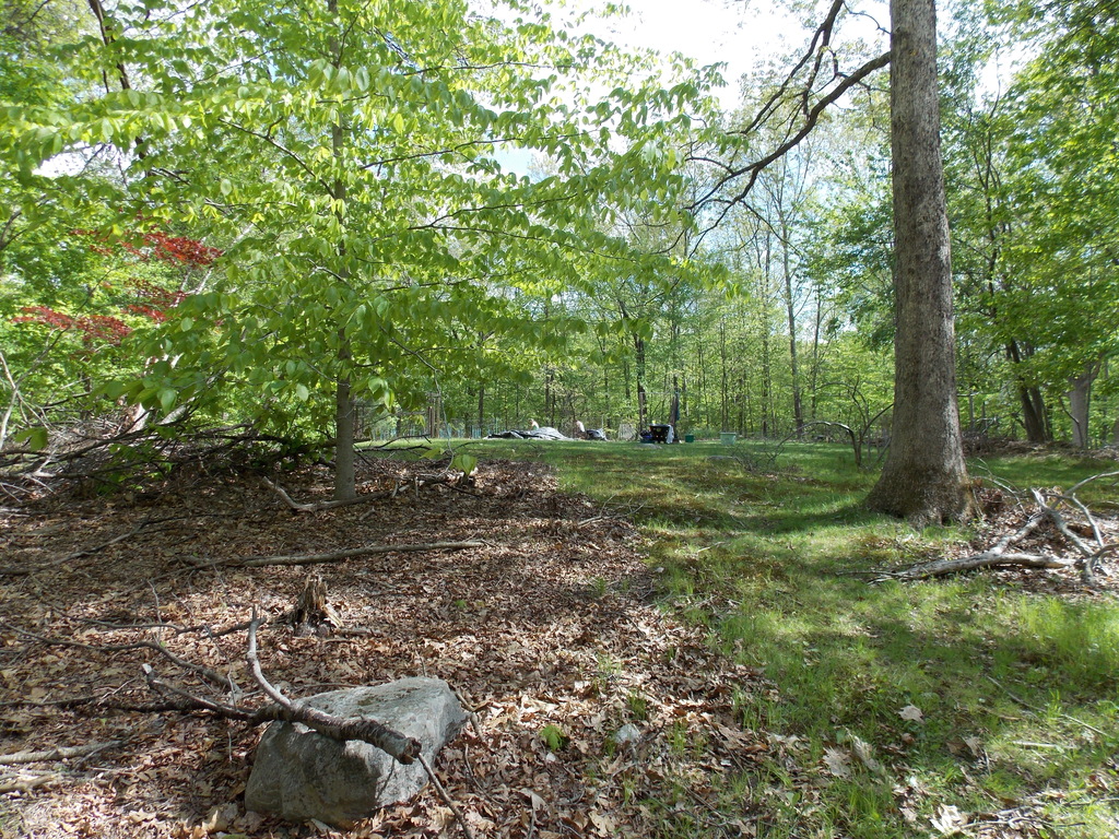 No description provided for: /2013/04-06/0512-josies-garden/photo03.html