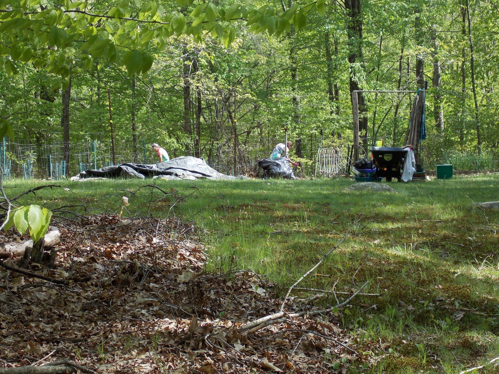 No description provided for: /2013/04-06/0512-josies-garden/photo04.html