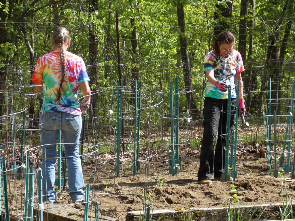 No description provided for: /2013/04-06/0512-josies-garden/photo07.html