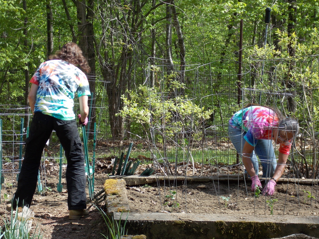 No description provided for: /2013/04-06/0512-josies-garden/photo09.html