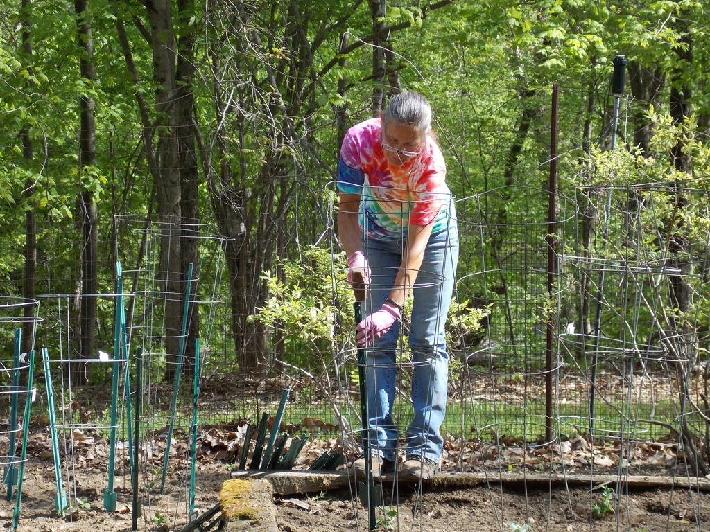 No description provided for: /2013/04-06/0512-josies-garden/photo11.html