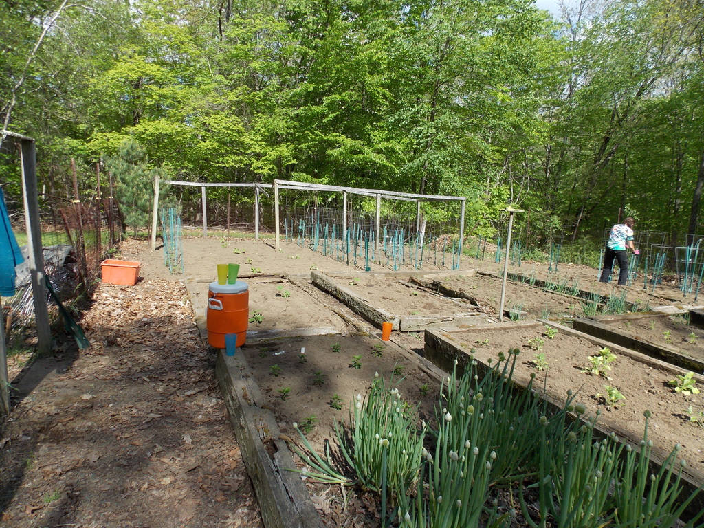 No description provided for: /2013/04-06/0512-josies-garden/photo13.html