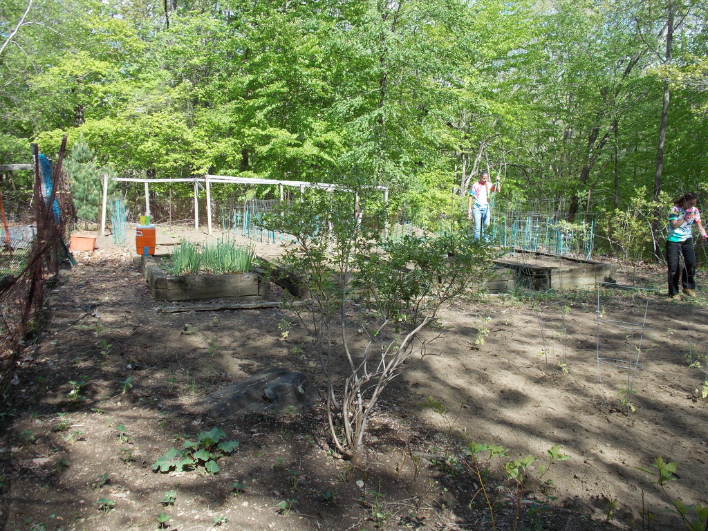 No description provided for: /2013/04-06/0512-josies-garden/photo14.html