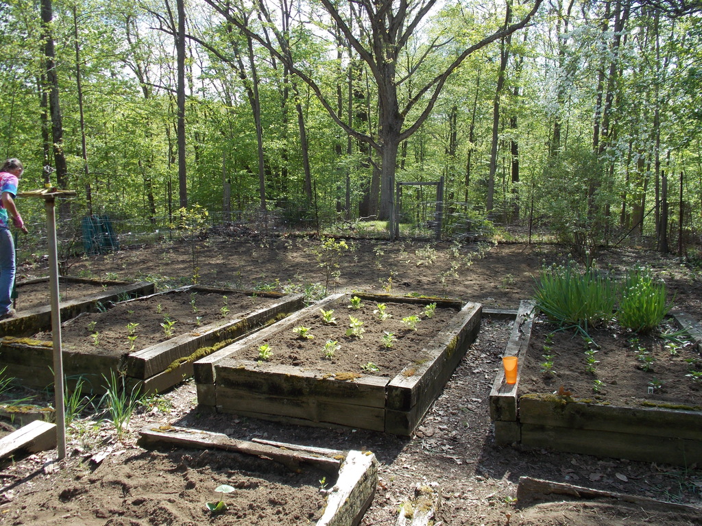 No description provided for: /2013/04-06/0512-josies-garden/photo15.html