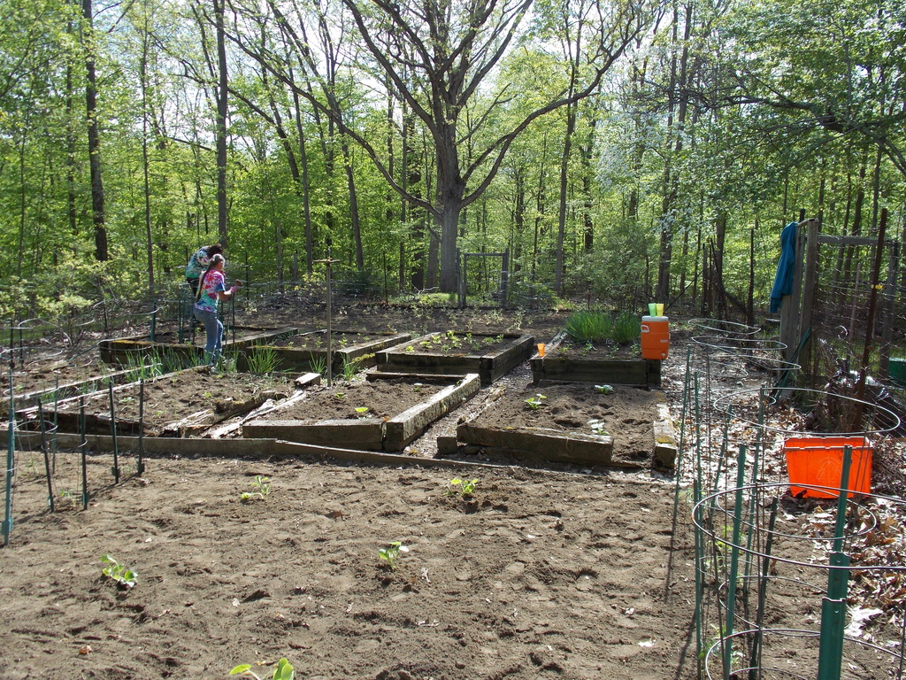 No description provided for: /2013/04-06/0512-josies-garden/photo16.html