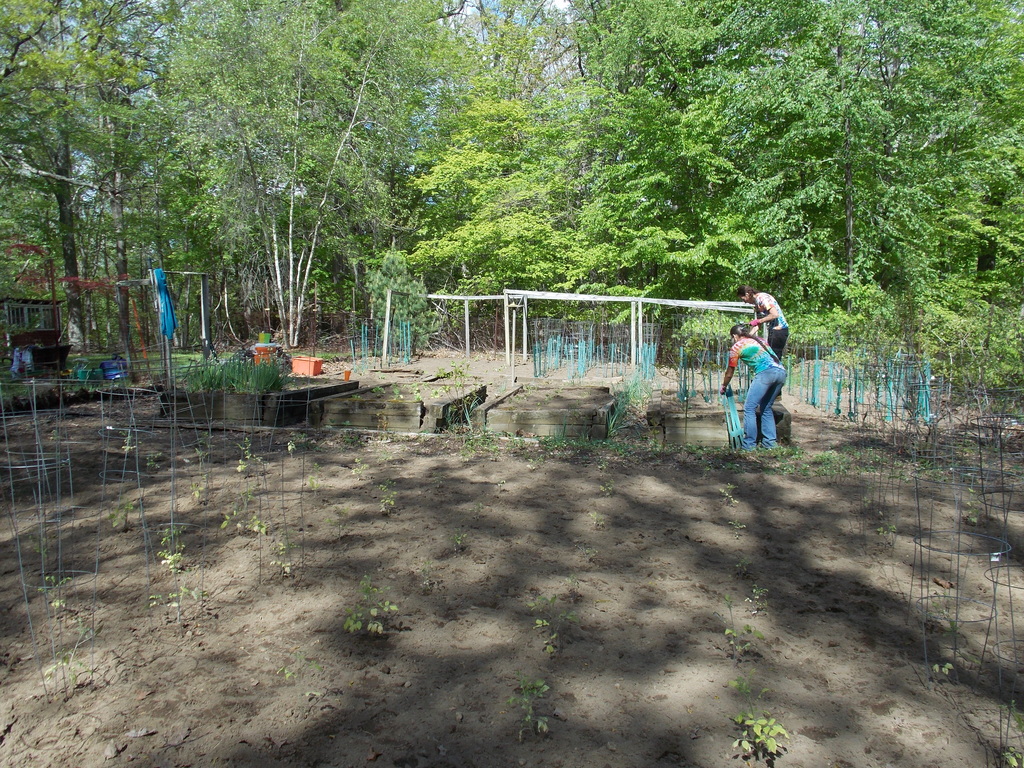 No description provided for: /2013/04-06/0512-josies-garden/photo17.html