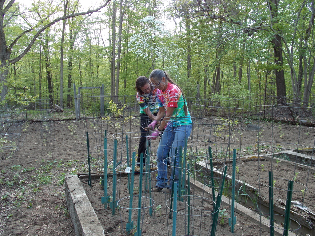 No description provided for: /2013/04-06/0512-josies-garden/photo20.html