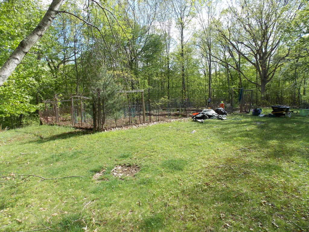 No description provided for: /2013/04-06/0512-josies-garden/photo23.html