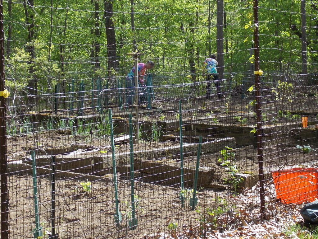 No description provided for: /2013/04-06/0512-josies-garden/photo24.html