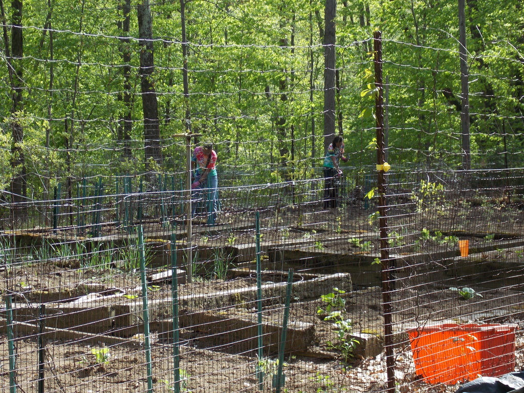 No description provided for: /2013/04-06/0512-josies-garden/photo25.html