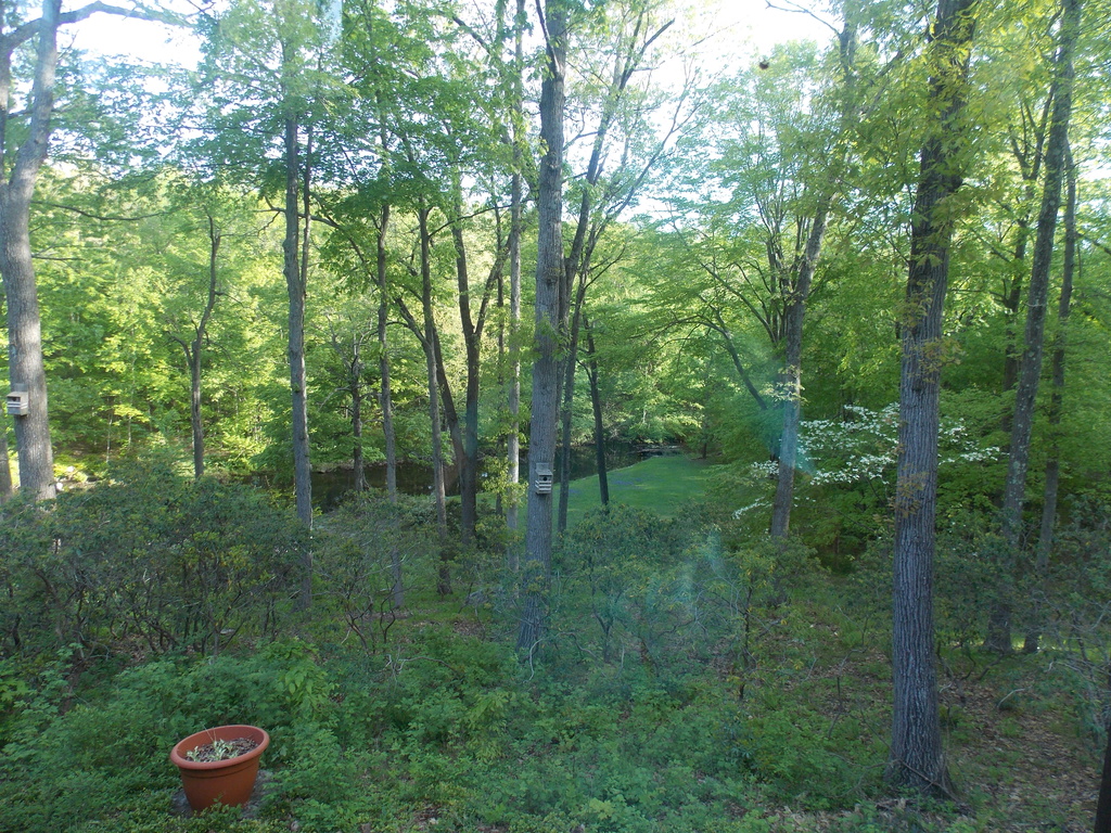 No description provided for: /2013/04-06/0517-joann-yard/photo02.html