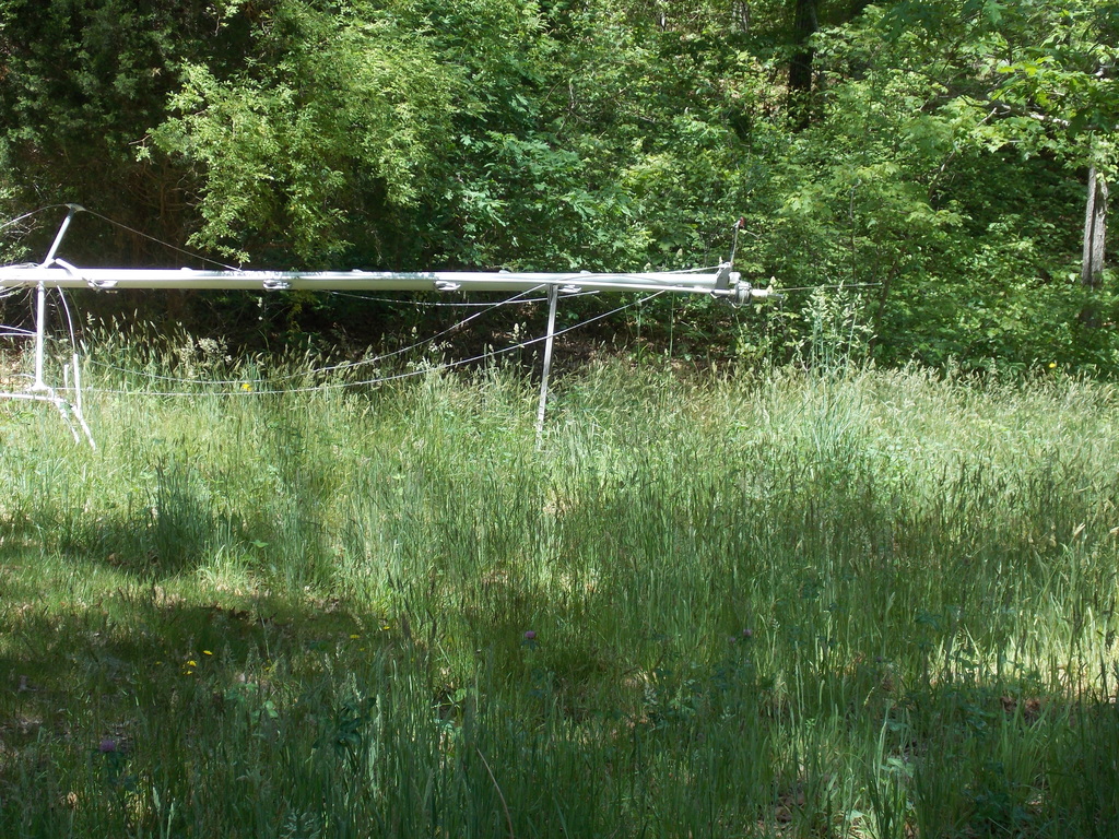 No description provided for: /2013/04-06/0602-tall-grass/photo02.html