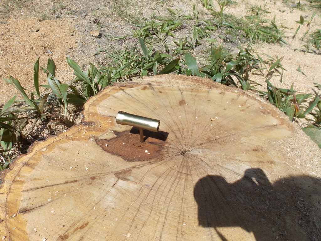 No description provided for: /2013/07-09/0731-rotten-tree/photo11.html