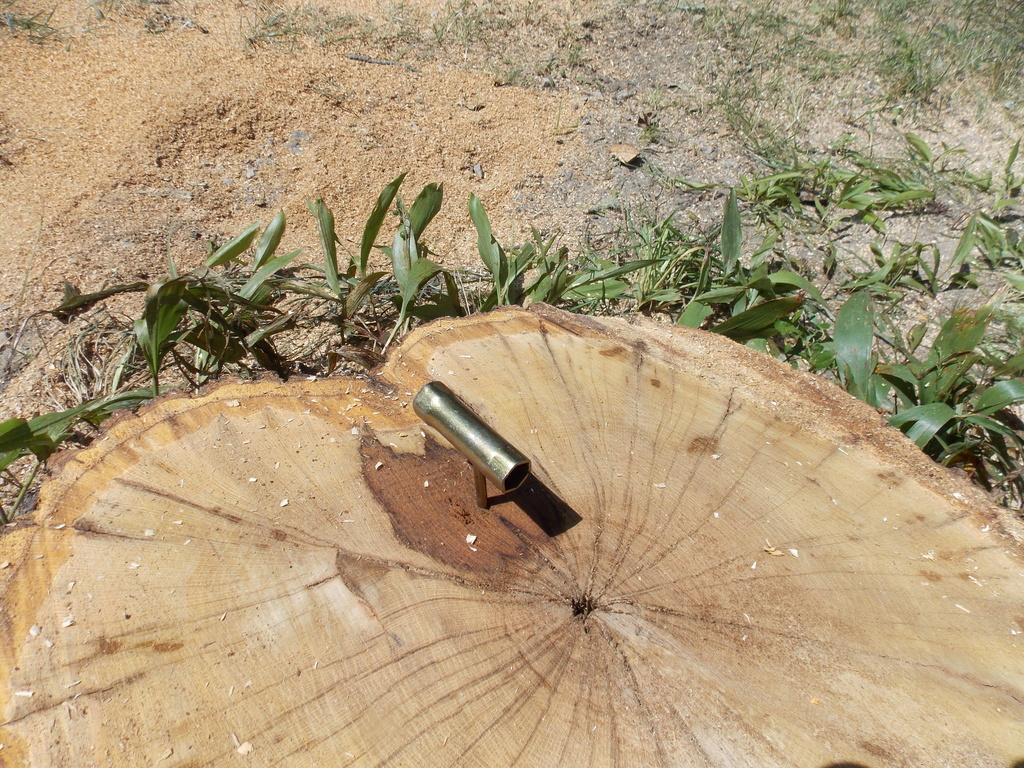 No description provided for: /2013/07-09/0731-rotten-tree/photo12.html