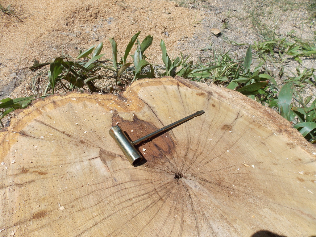 No description provided for: /2013/07-09/0731-rotten-tree/photo13.html