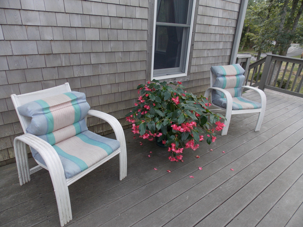 No description provided for: /2013/07-09/0915-flowers-house-yard/_1/photo01.html