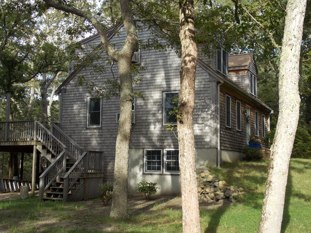 No description provided for: /2013/07-09/0915-flowers-house-yard/_2/photo38.html