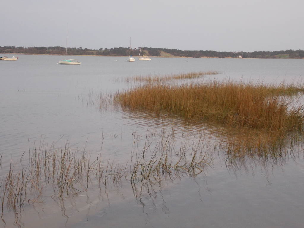 No description provided for: /2013/10-12/1010-quanset-pond/photo05.html