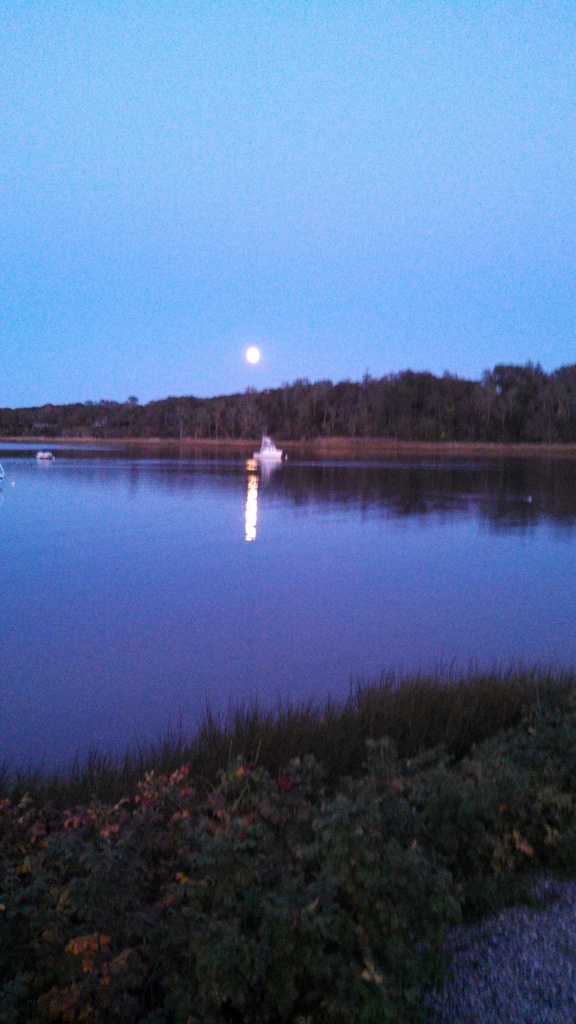 No description provided for: /2013/10-12/1018-full-moon/photo01.html