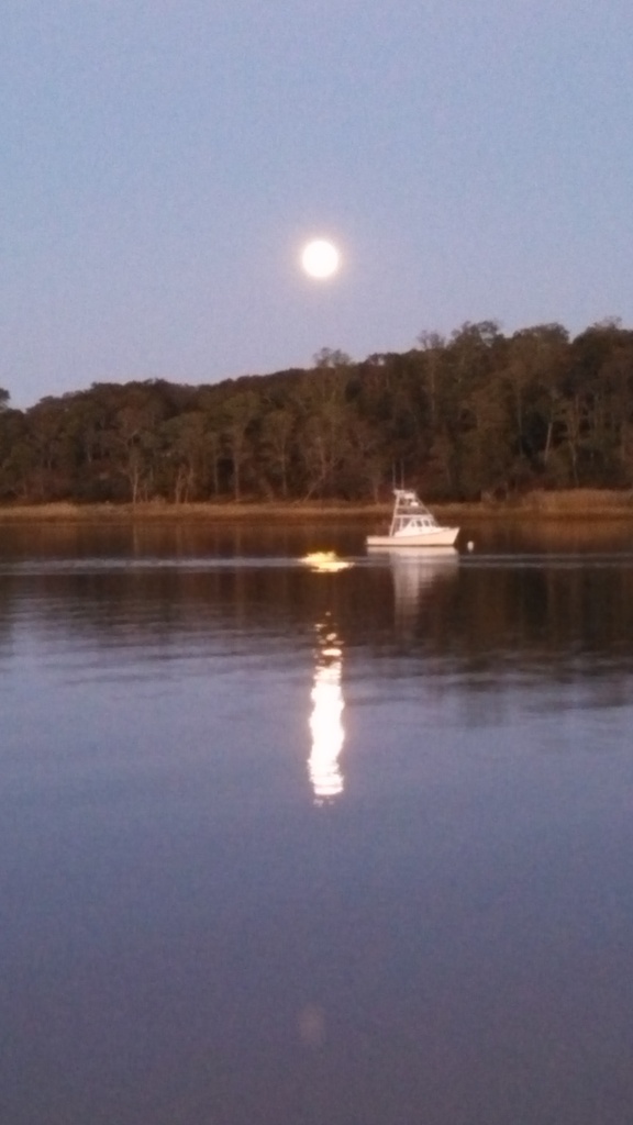 No description provided for: /2013/10-12/1018-full-moon/photo03.html