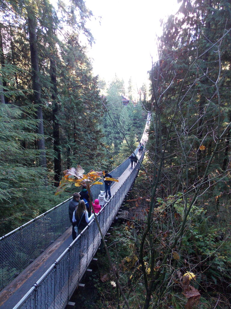 No description provided for: /2013/10-12/1103-vancouver/_1/photo17.html