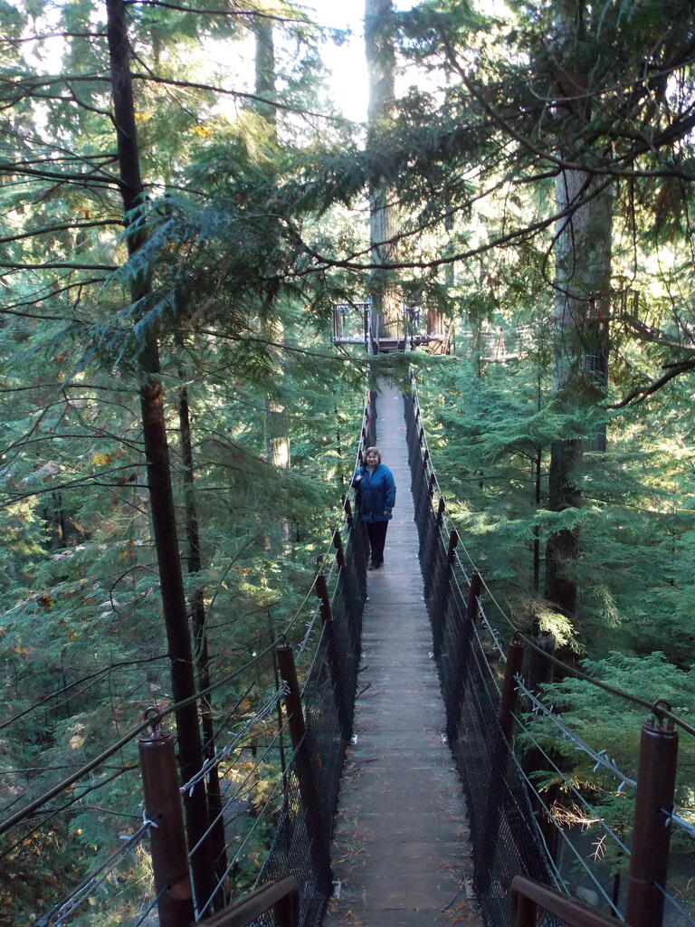 No description provided for: /2013/10-12/1103-vancouver/_1/photo18.html