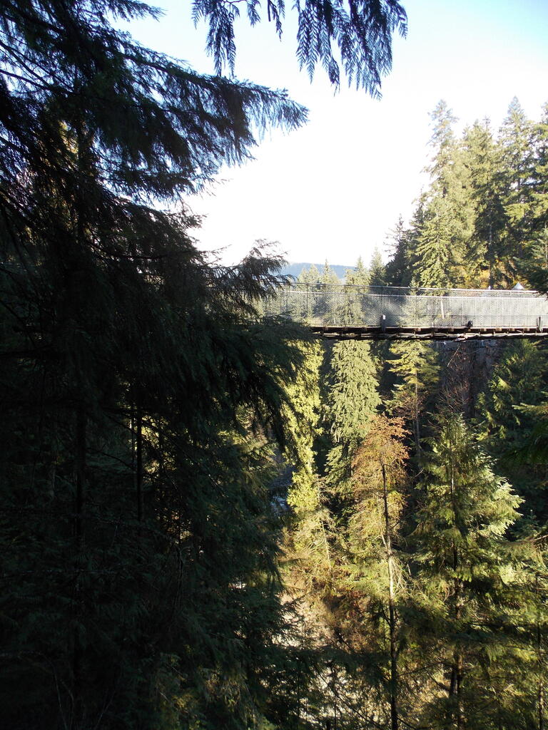 No description provided for: /2013/10-12/1103-vancouver/_2/photo24.html