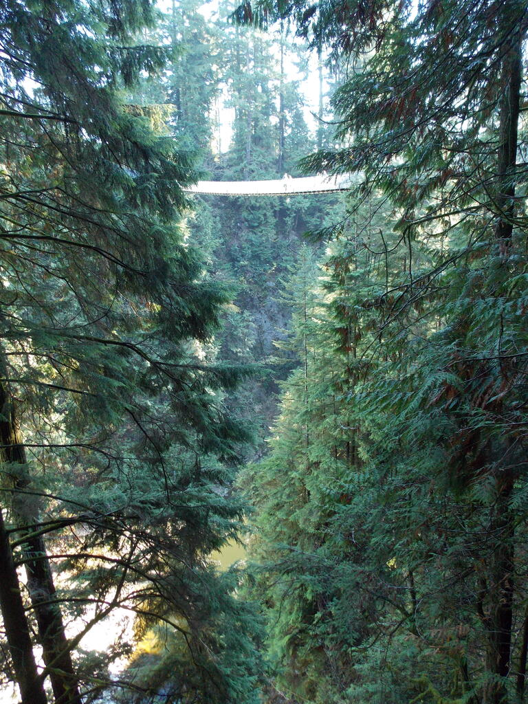 No description provided for: /2013/10-12/1103-vancouver/_2/photo32.html