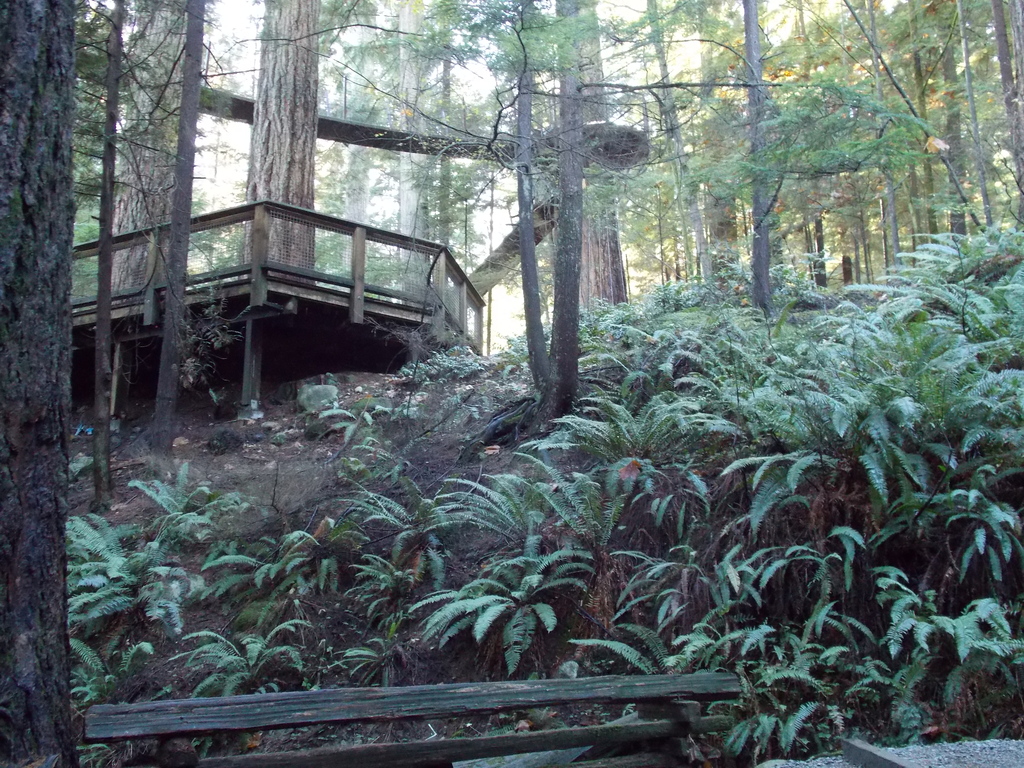 No description provided for: /2013/10-12/1103-vancouver/_2/photo38.html