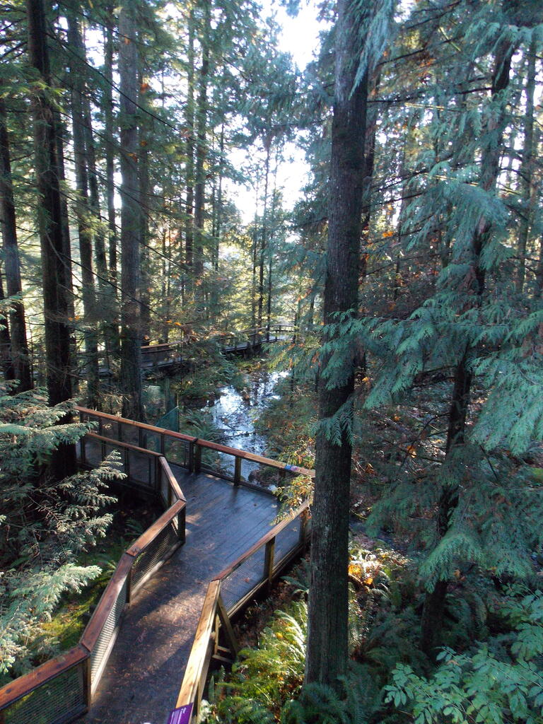 No description provided for: /2013/10-12/1103-vancouver/_3/photo41.html