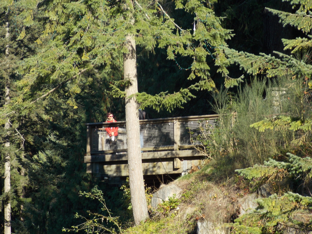 No description provided for: /2013/10-12/1103-vancouver/_3/photo45.html