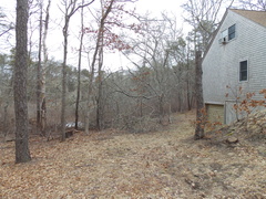 Image file: photo01.jpg