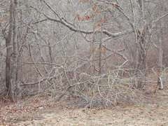 Image file: photo02.jpg