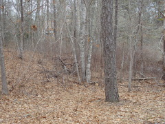 Image file: photo03.jpg