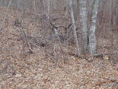 Image file: photo04.jpg