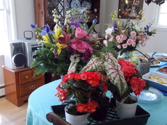 Image file: photo18.jpg