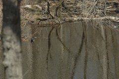 Image file: photo01.jpg