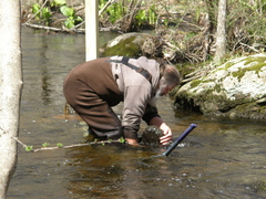 Image file: photo08.jpg