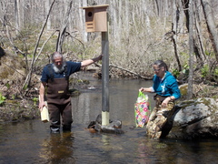 Image file: photo10.jpg